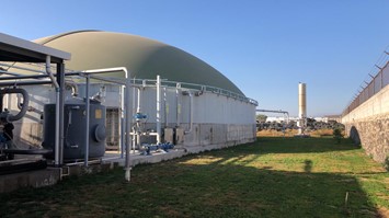 Making Mexican farms more sustainable with biogas cogeneration